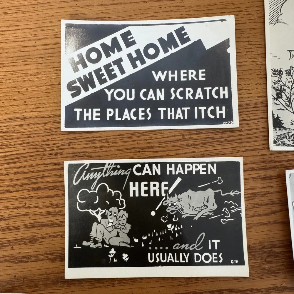 40+ Vintage Crude Offensive Humor Postcard Lot Kodak‎ Paper Old Maid Dating
